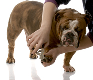Nail Clipping